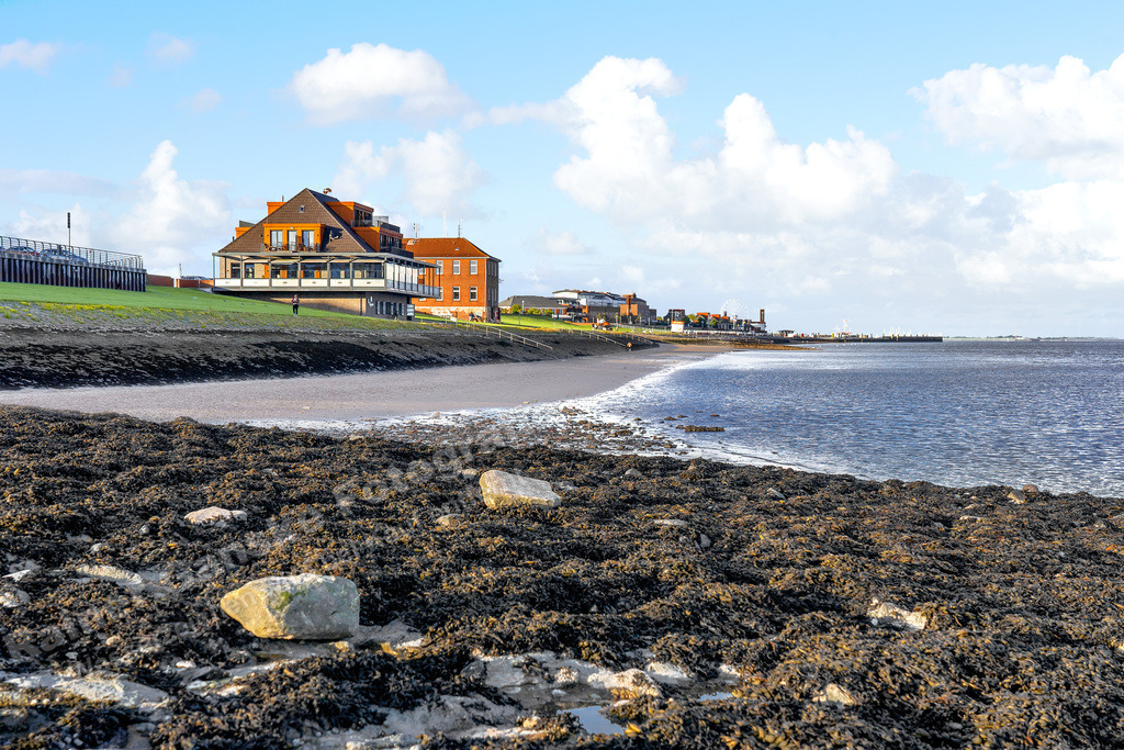 026 Wilhelmshaven Fliegerdeich - 13-06-2022 -R Ganske.jpg | Rainer Ganske Fotografie, www.RainerGanskeFotografie.de, www.RainerGanskeShop.de - Realisiert mit Pictrs.com