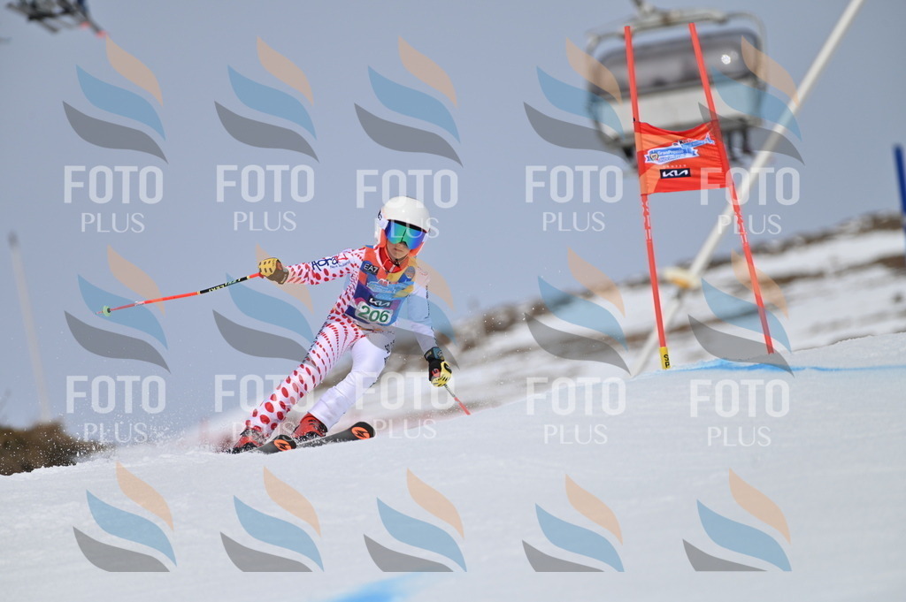 BGV_3967 | holidayphoto