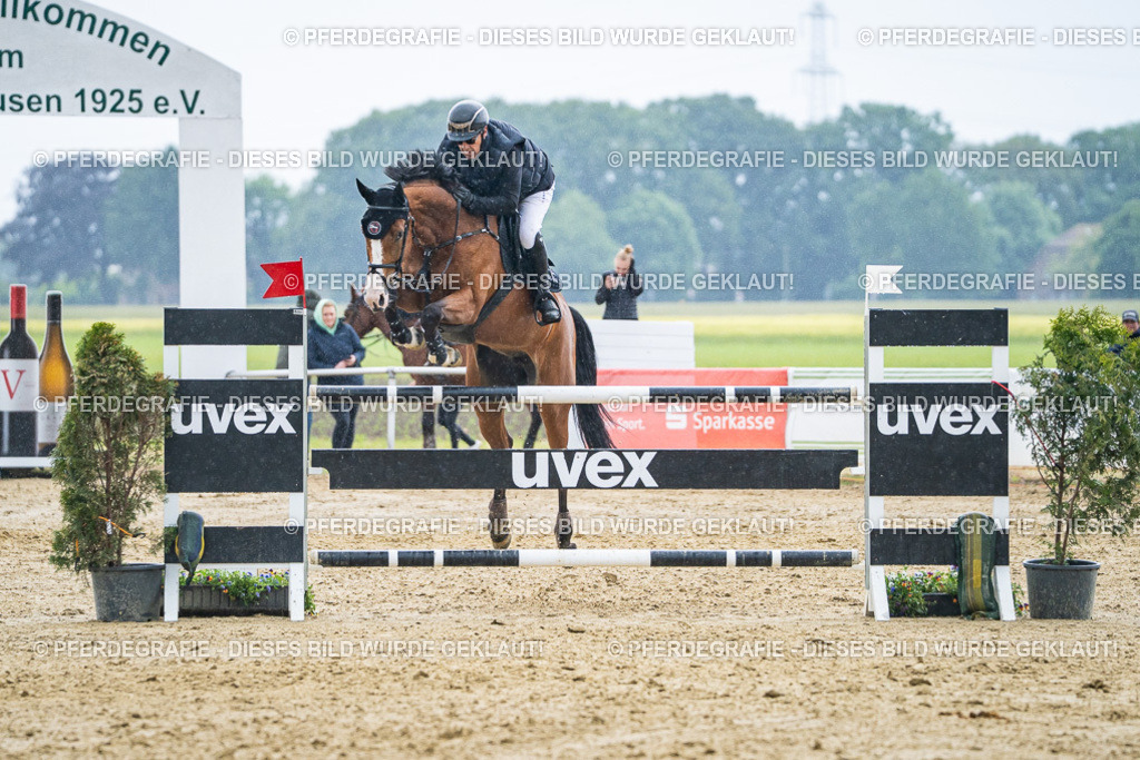 DSC09586 | Pferdegrafie