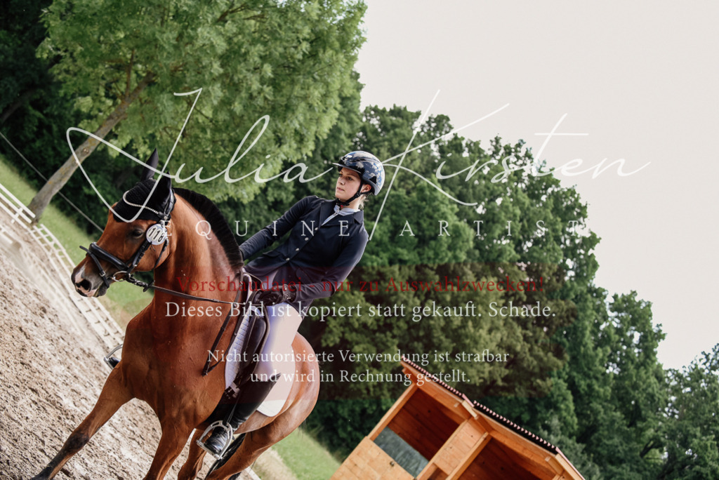 DSC_1746 | Pferde- und Turnierfotografie in Westsachsen. Pferdeportraits, Auftragszeichnungen und intuitive Kunst.