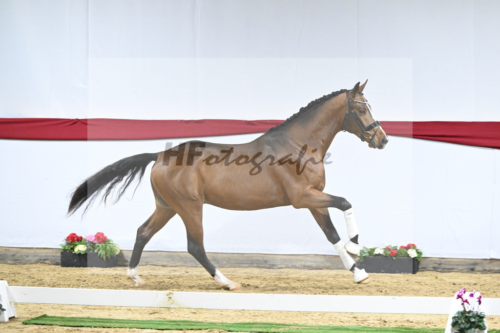 Kat-Nr. 62 v. DSP Topas_Schepper_63221877 | hf-fotografie - Realizzato con Pictrs.com