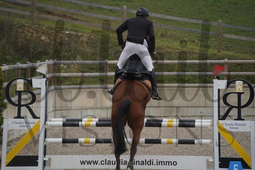 pfmagarethenhof (393) | d.tail Visions - Shop - Realisiert mit Pictrs.com