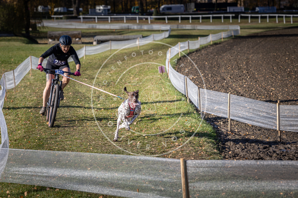 CaniXpix_DV3A4653 | Hundefotografie, Tierfotograf, Pfotenfotografie, Fotoshooting Hund, Hunde Portrait, Hundesport, Hundeportraits, Heideshooting, Hunde, Sportfotograf, Hundefotograf, Turnierhundsport, THS,  - Realisiert mit Pictrs.com