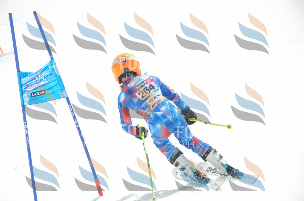 _ELE7710 | holidayphoto