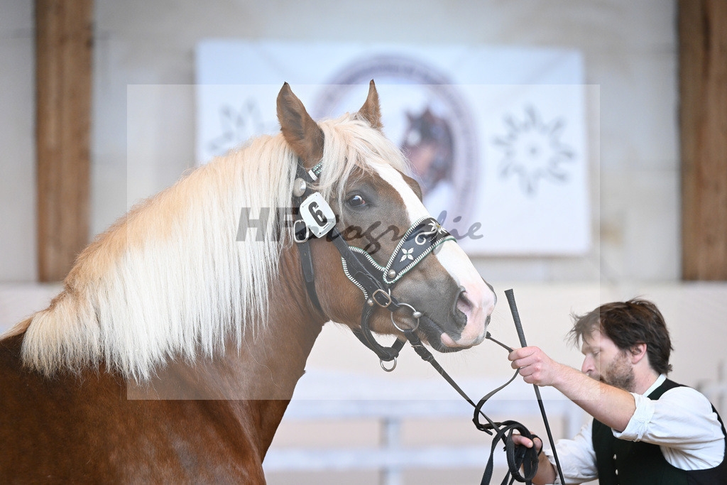 Kat-Nr. 6 v. Versailles_Neumayr_2230058 | hf-fotografie - Realisiert mit Pictrs.com