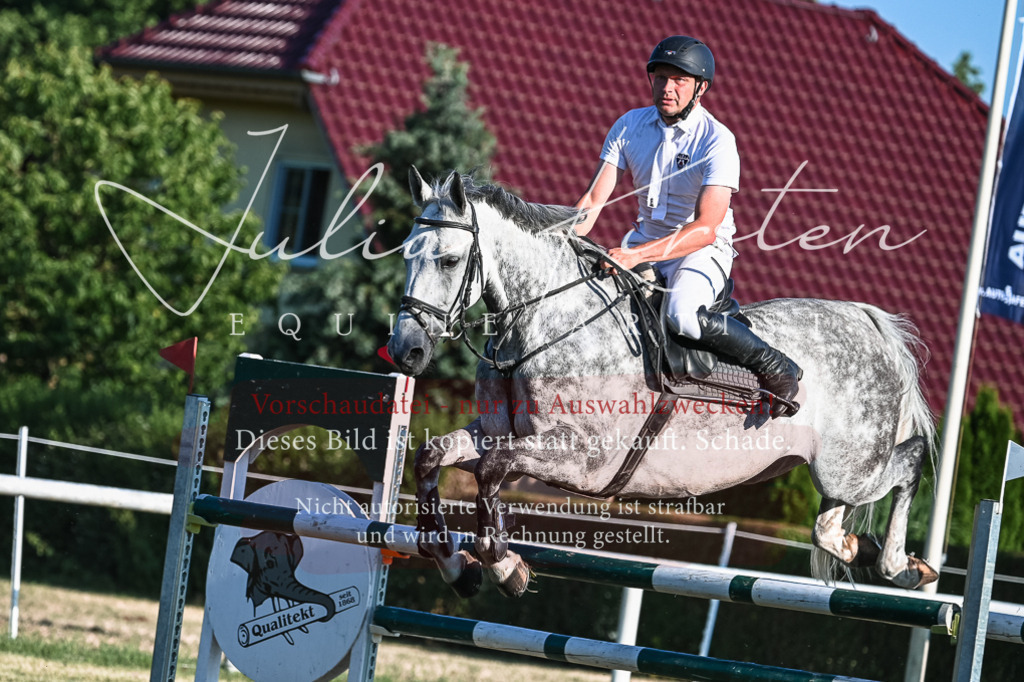 DSC_3037 | Pferde- und Turnierfotografie in Westsachsen. Pferdeportraits, Auftragszeichnungen und intuitive Kunst.