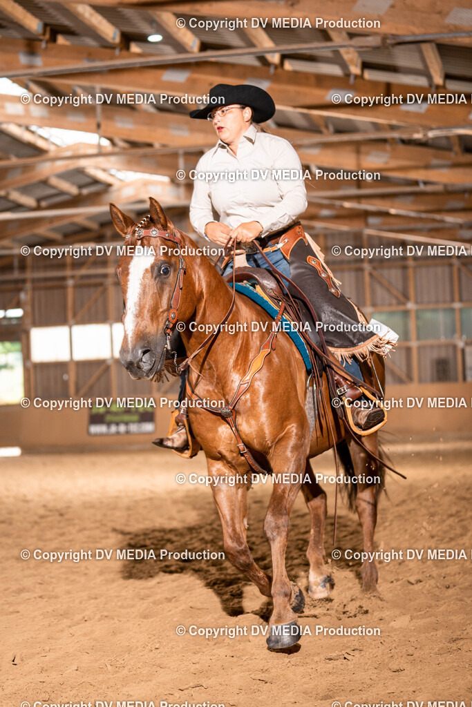 Losheim Tag 1-157 | dv-media-shop - Realisiert mit Pictrs.com