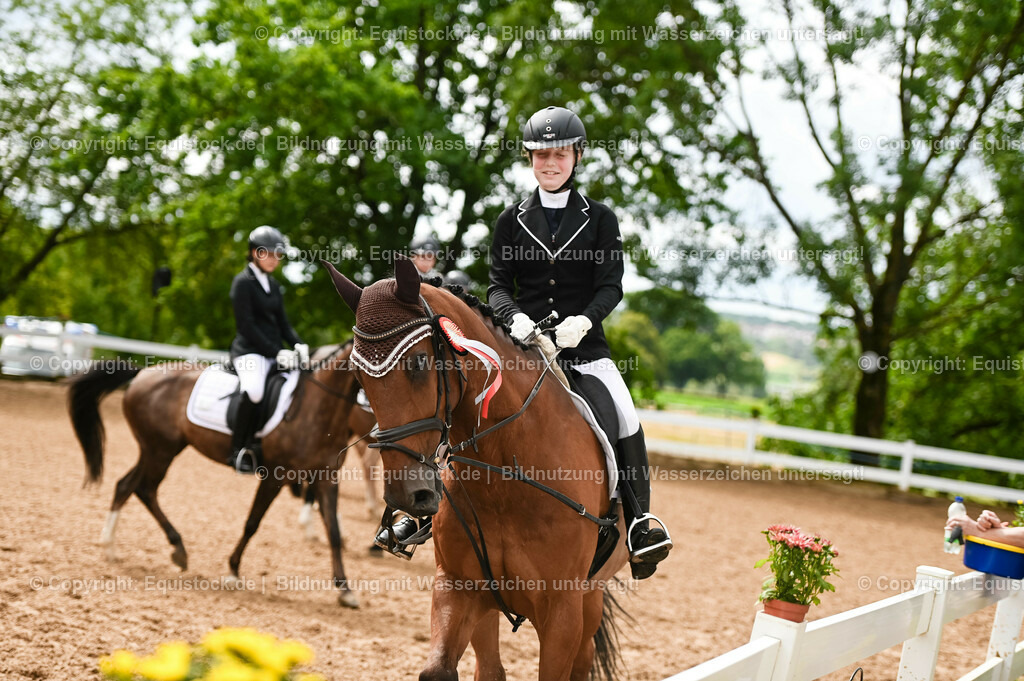 20230716_10-1_Reiter-WB Schritt - Trab - Galopp_0264 | equistock