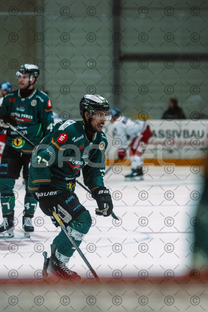 Alligators_vs_Selb_13_09_2026-09 | Die Fotogalerie von Daddel: professionelle Bilder von Sport, Events und Unternehmen aus Franken. Jetzt Galerien durchstöbern und Lieblingsfotos bestellen. - Realisiert mit Pictrs.com