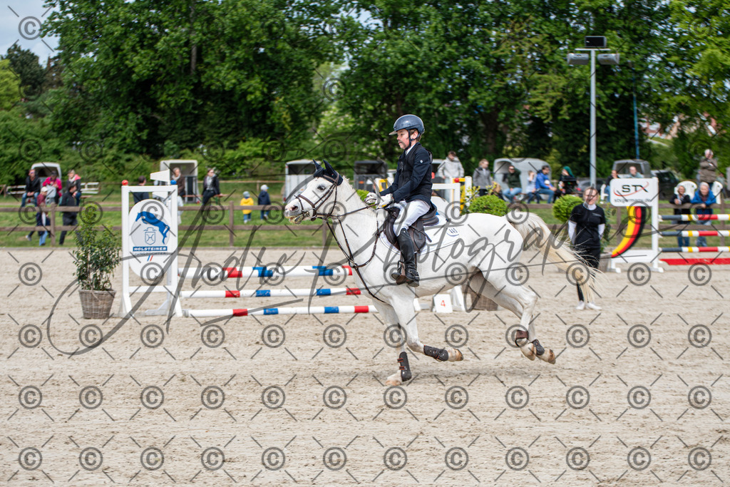 KPT_5946 | andre_photographic