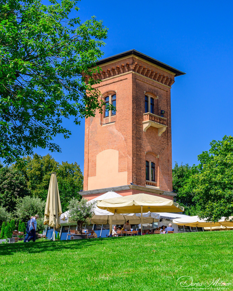 DSC_4282 2 | Fotografien, Fotos und Bilder aus Mainz, Frankfurt, Wiesbaden und anderen Orten auf der Welt - Fotografiert von Darius Metzner