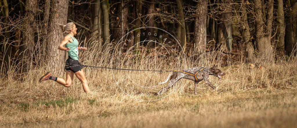 DV3A3682 | Hundefotografie, Tierfotograf, Pfotenfotografie, Fotoshooting Hund, Hunde Portrait, Hundesport, Hundeportraits, Heideshooting, Hunde, Sportfotograf, Hundefotograf, Turnierhundsport, THS,  - Realisiert mit Pictrs.com
