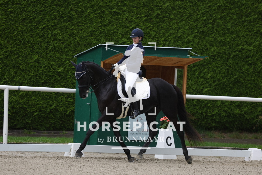 0P6A9533 | Willkommen bei Brunnmayr - Design & Fotografie – Ihrem Spezialisten für Reitturniere und Pferdeveranstaltungen in Oberösterreich, Salzburg und Bayern! Seit über 17 Jahren sind wir leidenschaftlich dabei.