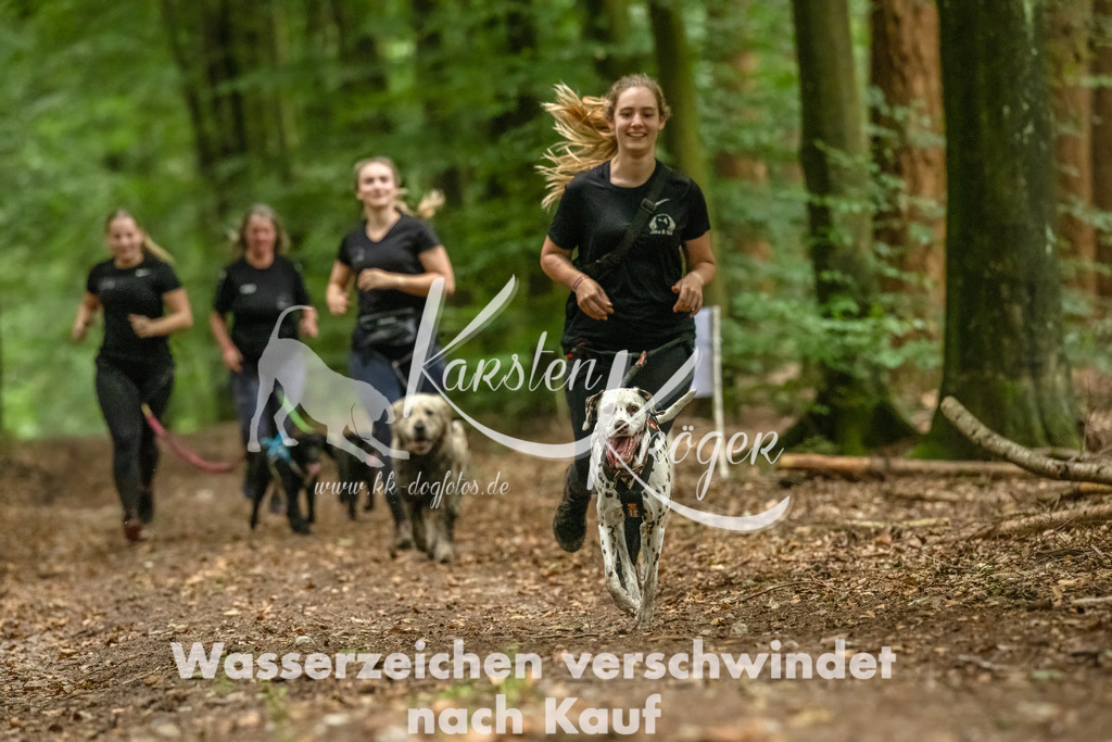 1255_ZZ91759-Bearbeitet-2 | kk-dogfotos