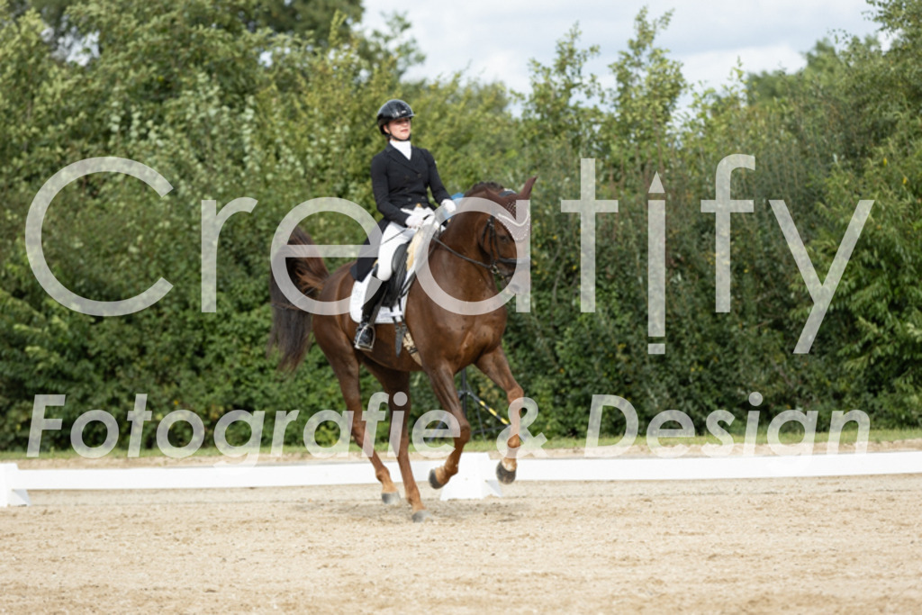 IMG_6932 | Creatify Fotografie