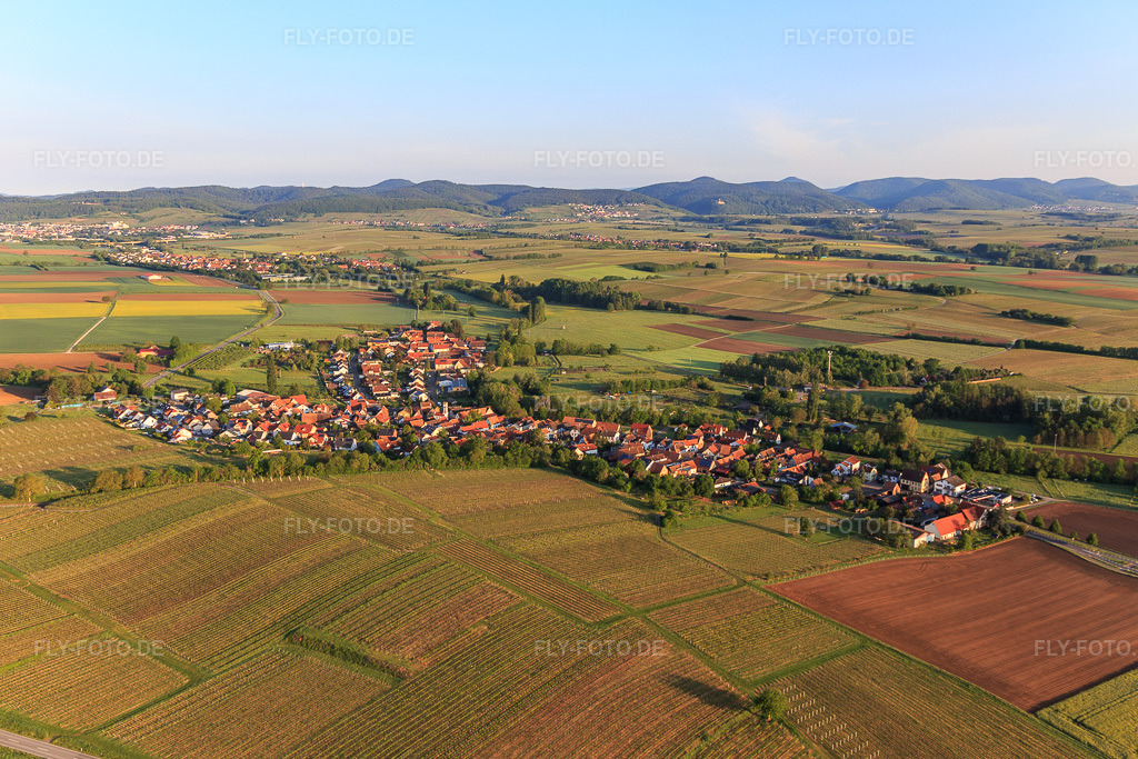 Luftbild: Ortsansicht von Osten in Oberhausen im Bundesland Rheinland-Pfalz in Deutschland. Foto: IMG_120644.jpg vom 03.05.2020 durch Werner Riehm/FLY-FOTO.de
