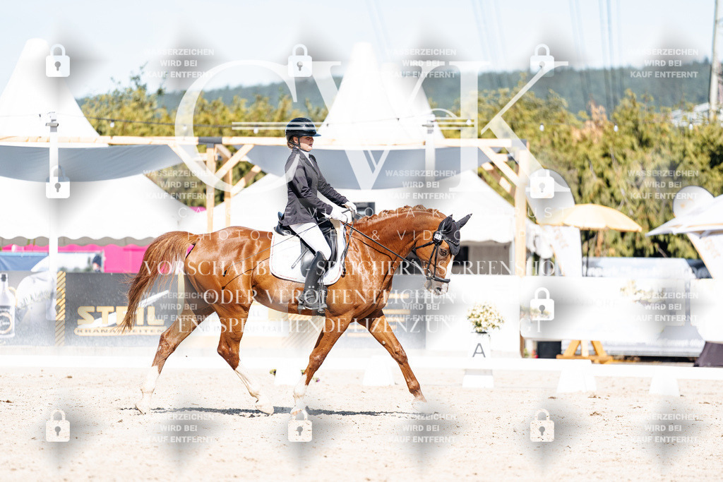 CK908791 | Turnierfotografie Pferdefotografie Trier Rheinland-Pfalz Pferdesport Reitsport Tierfotografie Sportfotografie Pferdevideo Pferdevideografie Equestrianvideography equestrianphotography  - Realisiert mit Pictrs.com