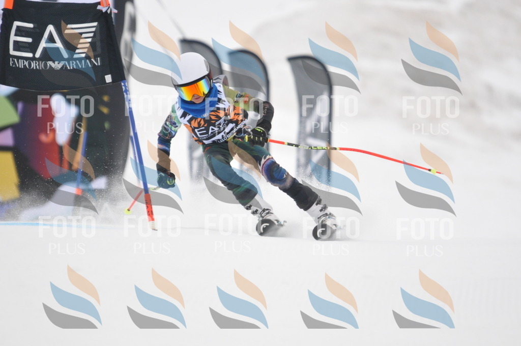 DSC_7925 | holidayphoto