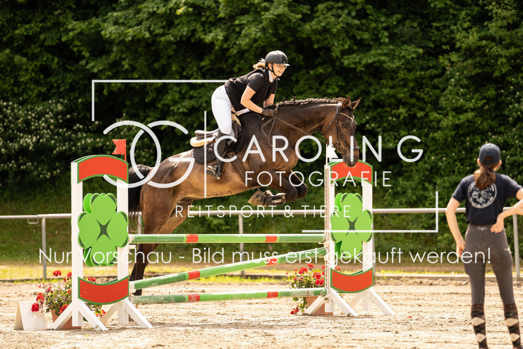 DSC02412 | Carolin Gieschke