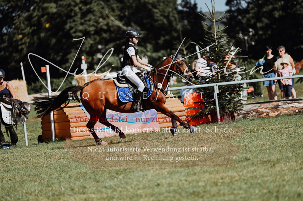 DSC_6916 | Pferde- und Turnierfotografie in Westsachsen. Pferdeportraits, Auftragszeichnungen und intuitive Kunst.