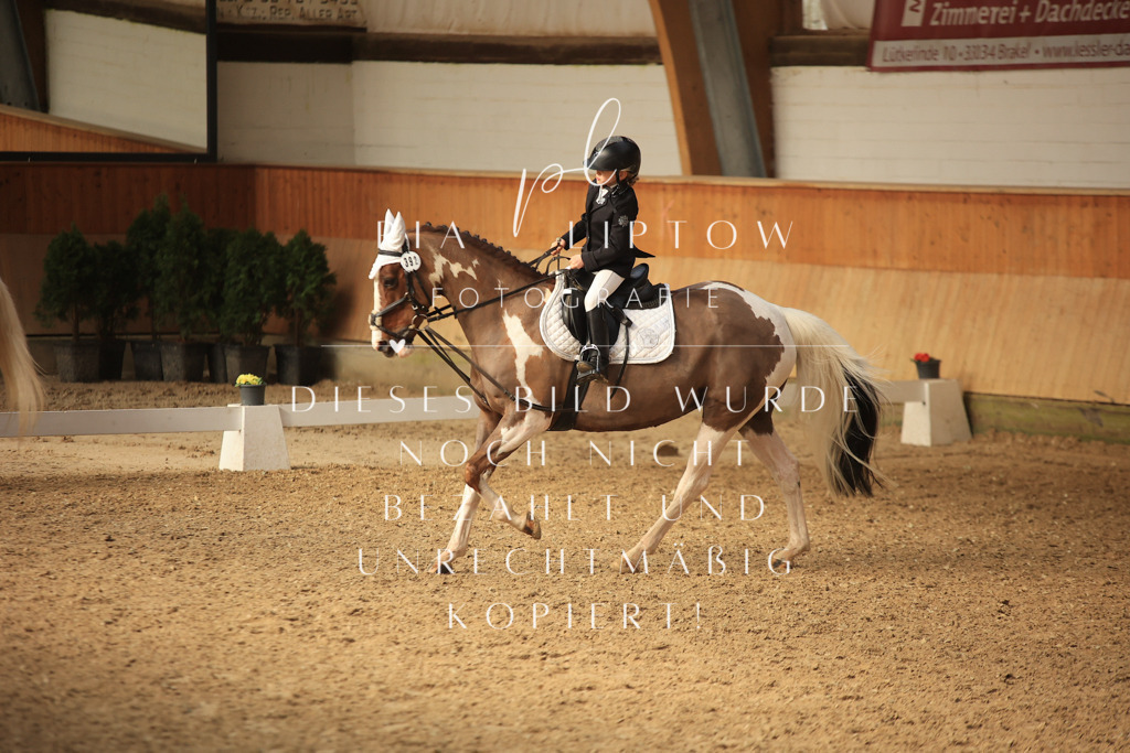 IMGT5799 | pl-fotografie