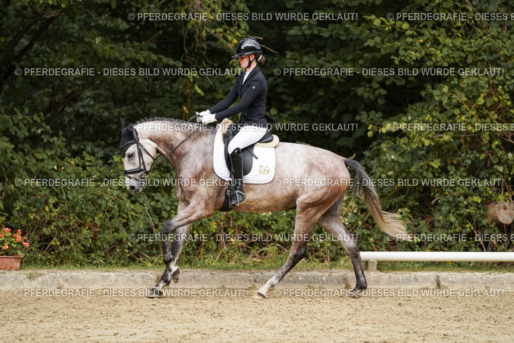 DSC00803 | Pferdegrafie