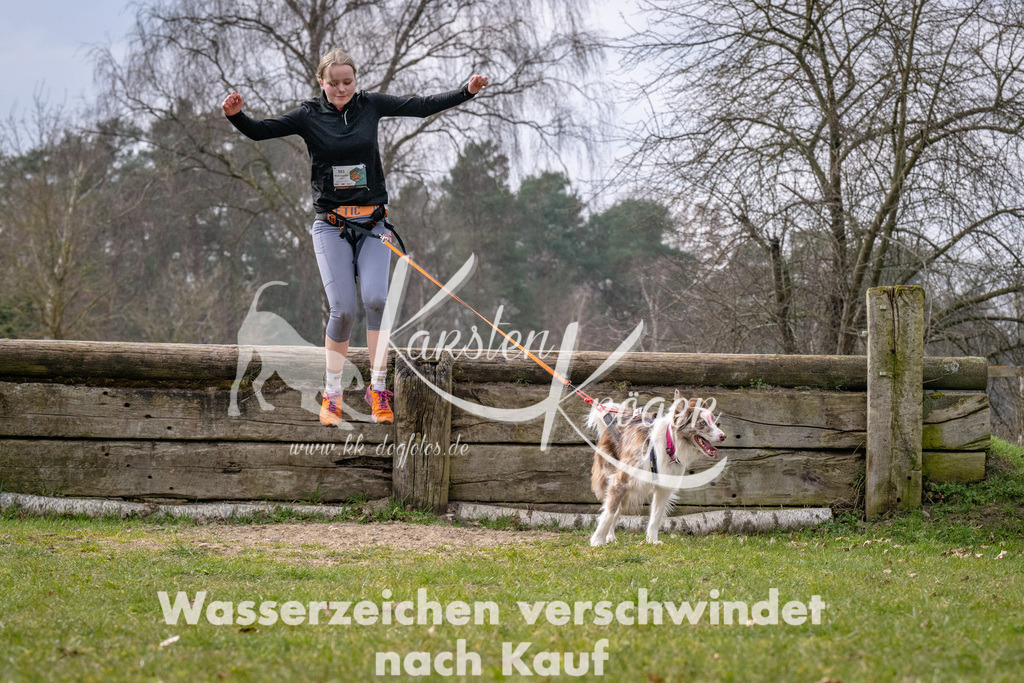 _ZZ92282 | kk-dogfotos