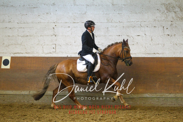 DKP43678 | Turniersportfotografie; Pferdefotografie; Dressurfotografie