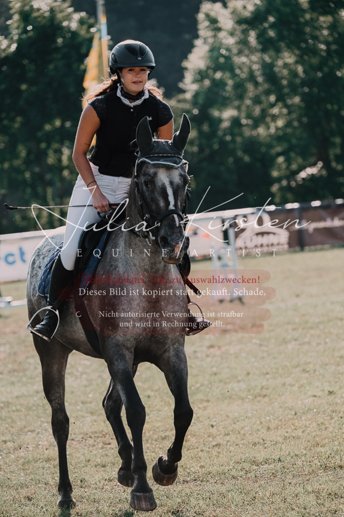 DSC_4502 | Pferde- und Turnierfotografie in Westsachsen. Pferdeportraits, Auftragszeichnungen und intuitive Kunst.