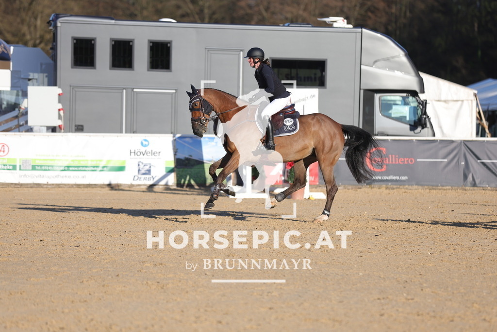 0P6A2309 | Willkommen bei Brunnmayr - Design & Fotografie – Ihrem Spezialisten für Reitturniere und Pferdeveranstaltungen in Oberösterreich, Salzburg und Bayern! Seit über 17 Jahren sind wir leidenschaftlich dabei.