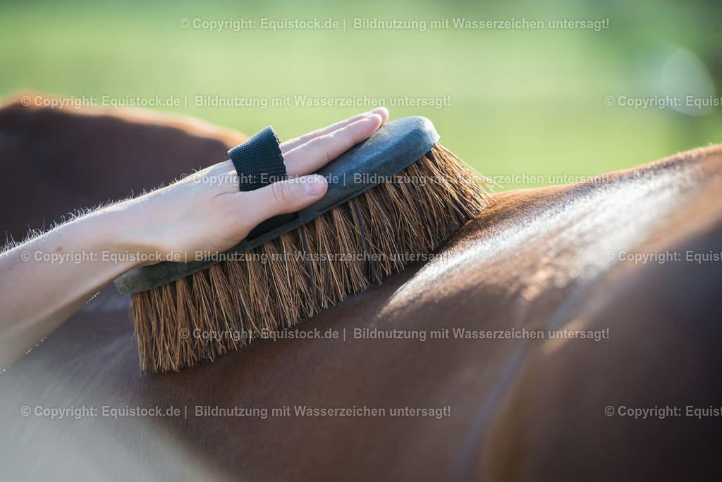 20150414_B__rsten_0002 | equistock