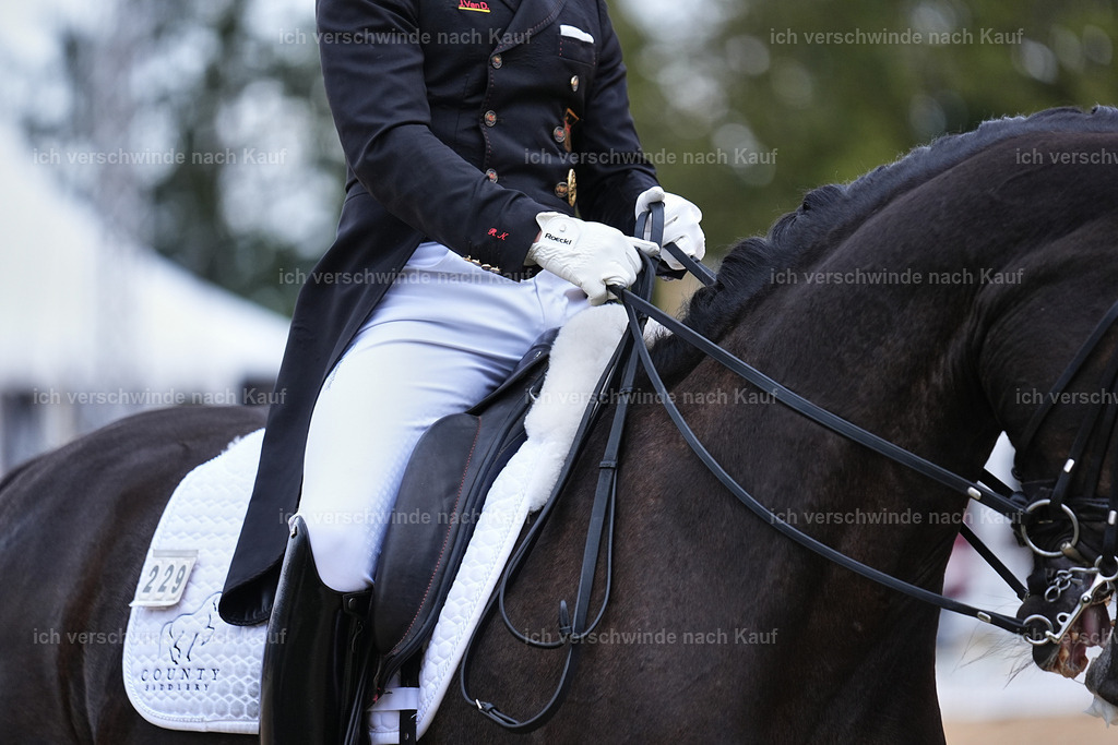 12-229-DRESSUR  S___  -Marixx-5237 | working equitationturnier fotograf videograf stoibphotography marixx film working equitation deutschland reitsport turnierfotografie eventfotografie equestrian events
