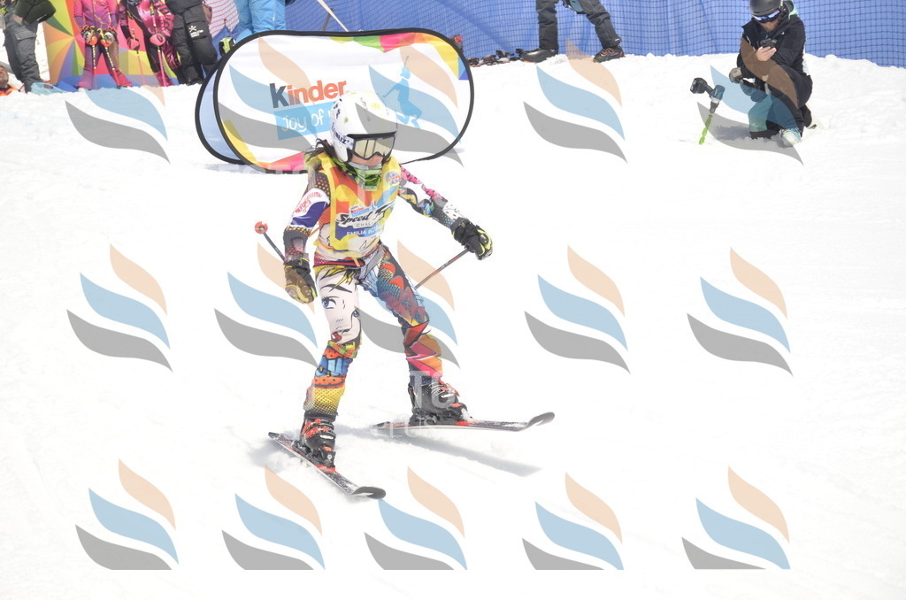 _ELE8784 | holidayphoto