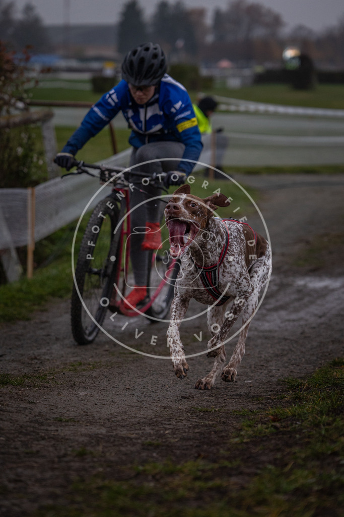 CaniXpix_0L8A0337 | Hundefotografie, Tierfotograf, Pfotenfotografie, Fotoshooting Hund, Hunde Portrait, Hundesport, Hundeportraits, Heideshooting, Hunde, Sportfotograf, Hundefotograf, Turnierhundsport, THS,  - Realisiert mit Pictrs.com