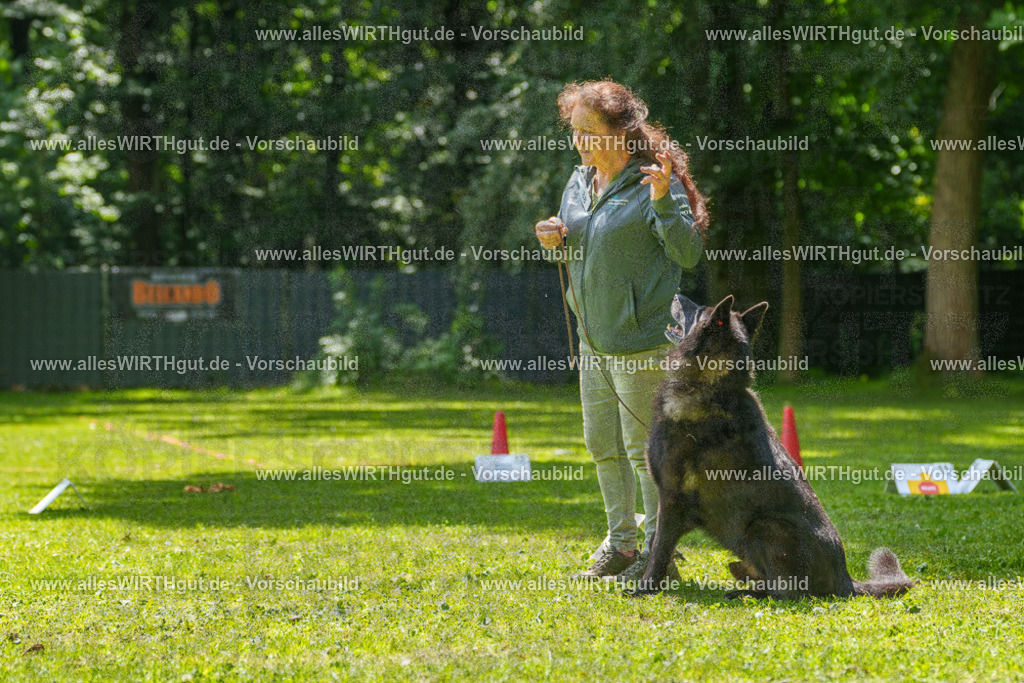 @allesWIRTHgut_Tierfotografie - www.allesWIRTHgut.de - 7R504654 | Professionelle Tierfotografie in Mönchengladbach von Daniel Wirth (allesWIRTHgut). Liebevolle & natürliche Bilder von Hunden & Katzen für unvergessliche Erinnerungen.