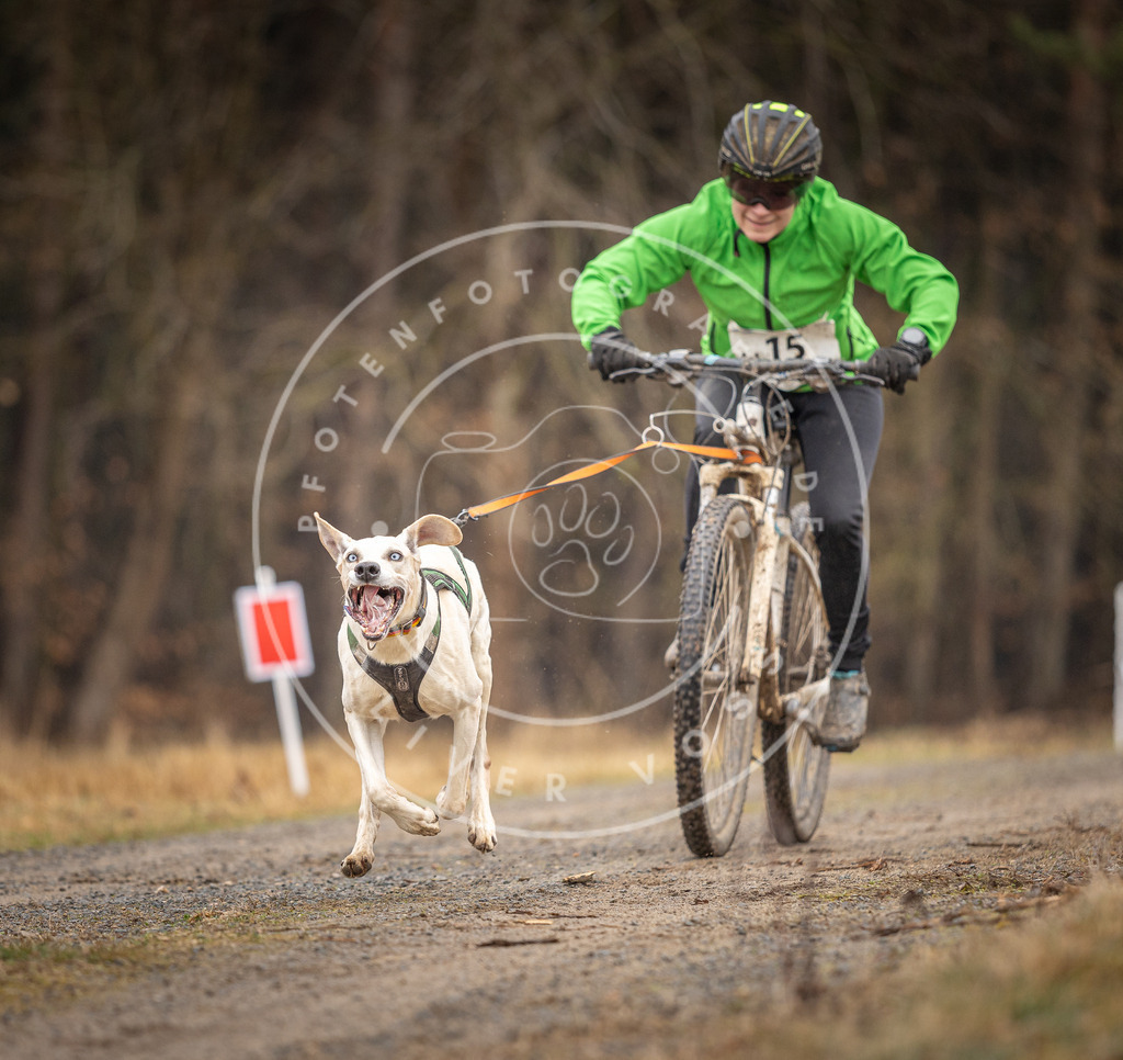 DV3A3274 | Hundefotografie, Tierfotograf, Pfotenfotografie, Fotoshooting Hund, Hunde Portrait, Hundesport, Hundeportraits, Heideshooting, Hunde, Sportfotograf, Hundefotograf, Turnierhundsport, THS,  - Realisiert mit Pictrs.com