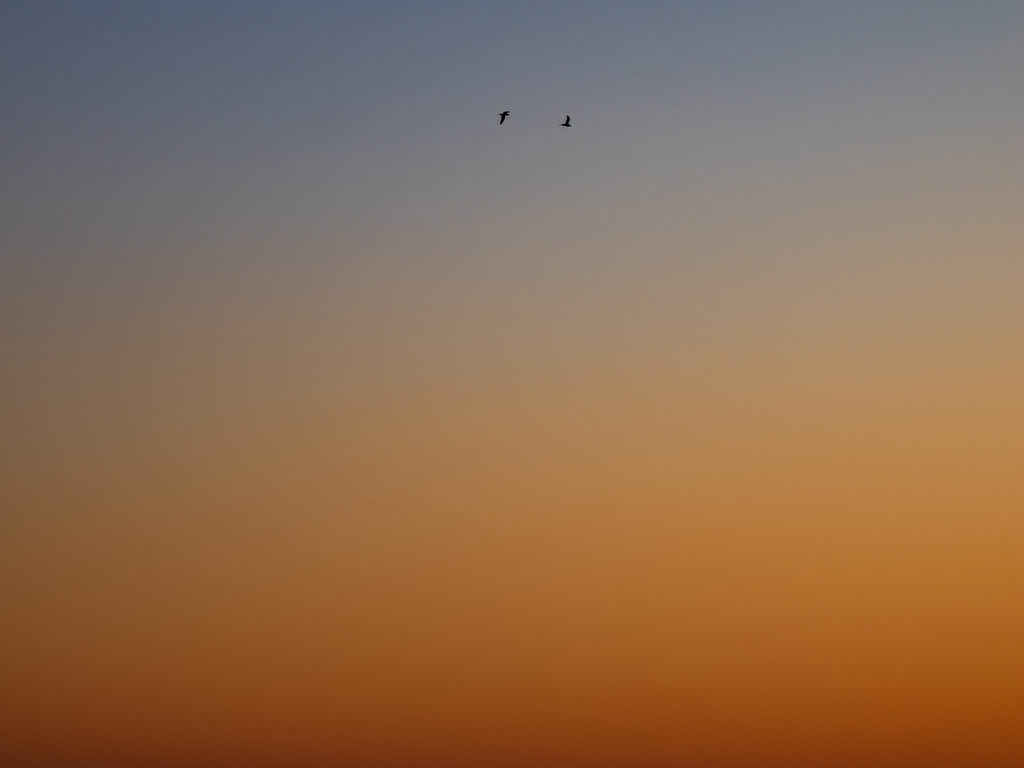Seelenflug - Bucht von Étretat | Im leuchtenden Übergang der Abenddämmerung verneigt sich der Tag vor der Nacht mit glühendem Lichtermeer.Zwei Seelen durchqueren das Himmelsmeer, getragen von der Unendlichkeit. Die Bucht von Étretat liegt still unter ihnen, ein uralter Zeuge des Wandels, während sie dem Horizont entgegenziehen – dorthin, wo das Sichtbare endet und das Geheimnis beginnt.Ein Bild wie ein Gleichnis: über das Loslassen und die Rückkehr ins Licht. - Powered by Pictrs.com