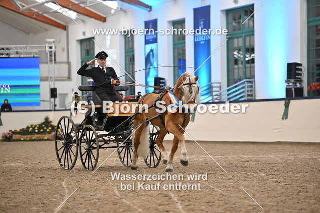 Neustart_974_5418 | Björn Schroeder Pferdefotografie