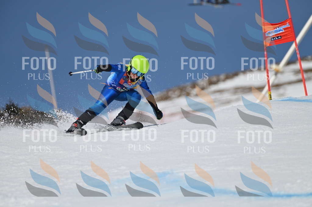 BGV_6594 | holidayphoto