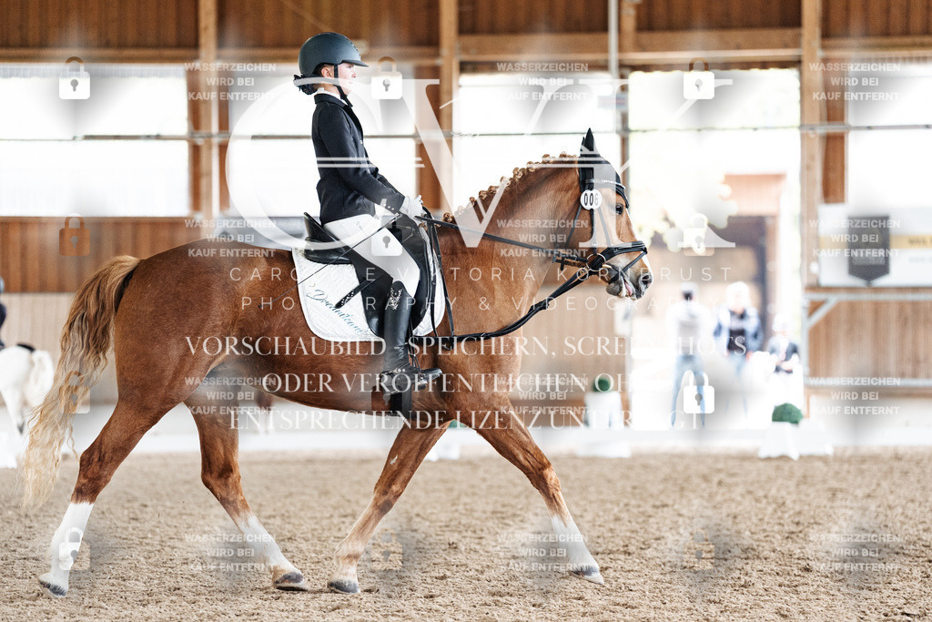 CK900862 | Turnierfotografie Pferdefotografie Trier Rheinland-Pfalz Pferdesport Reitsport Tierfotografie Sportfotografie Pferdevideo Pferdevideografie Equestrianvideography equestrianphotography  - Realisiert mit Pictrs.com