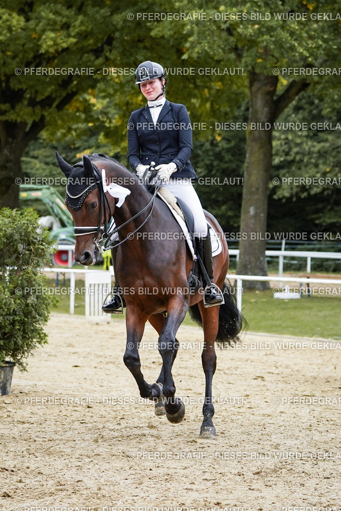 DSC02669 | Pferdegrafie