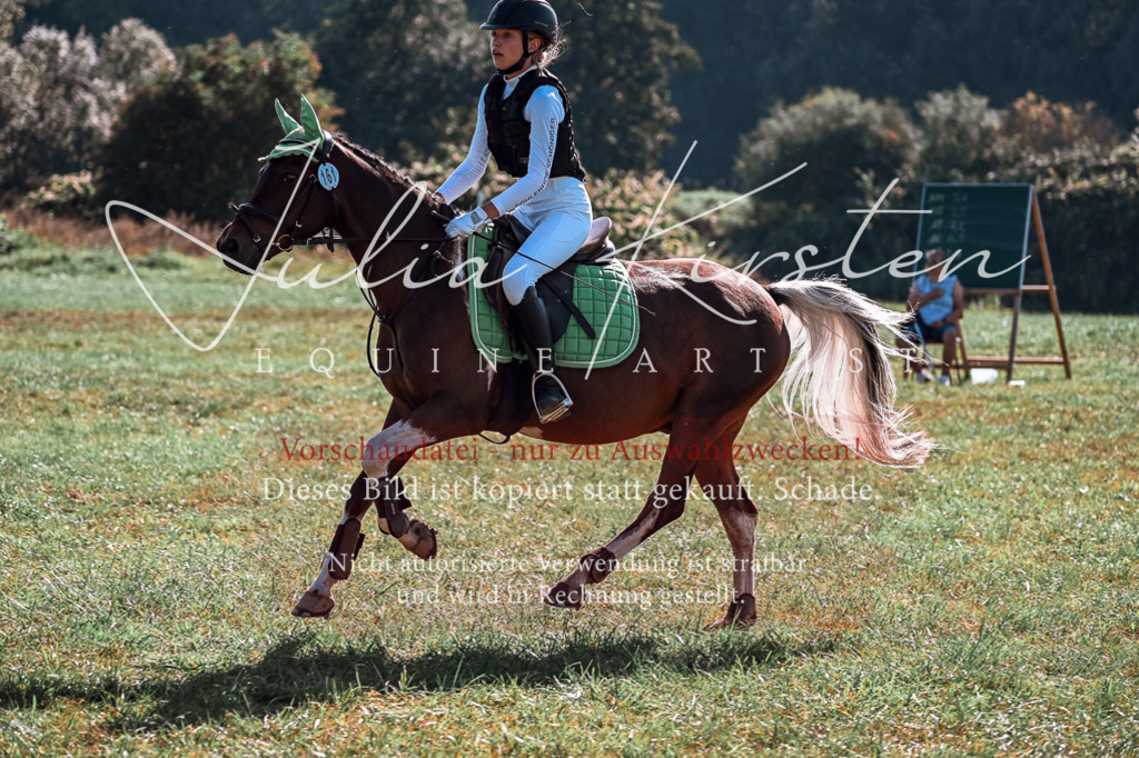 DSC_0840 | Pferde- und Turnierfotografie in Westsachsen. Pferdeportraits, Auftragszeichnungen und intuitive Kunst.