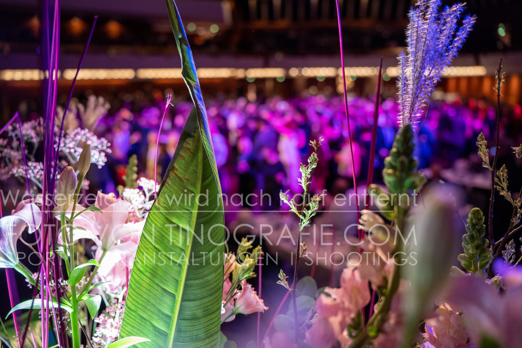 CCC_Frühlingsball_Impressionen_byTINOGRRAFIE-9 | (c) TINOGRAFIE.COM