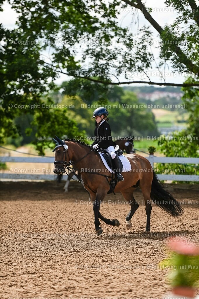 20230716_10-3_Reiter-WB Schritt - Trab - Galopp_0057 | equistock
