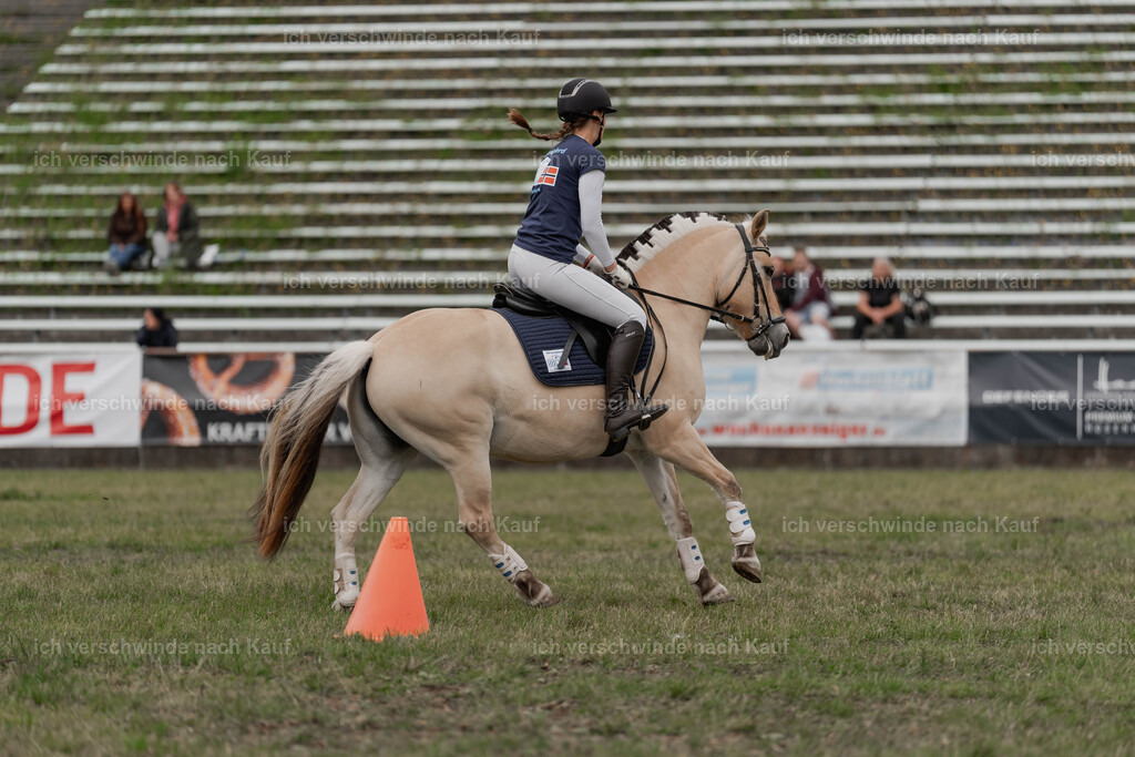 Showprogramm-486 | working equitationturnier fotograf videograf stoibphotography marixx film working equitation deutschland reitsport turnierfotografie eventfotografie equestrian events