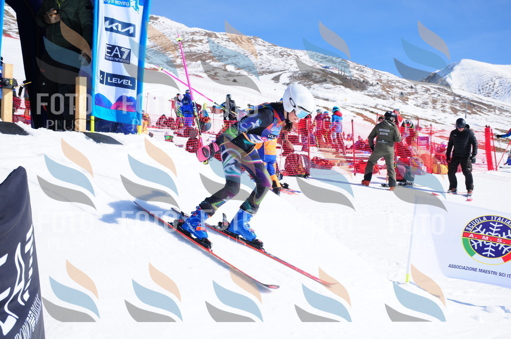 DSC_3945 | holidayphoto