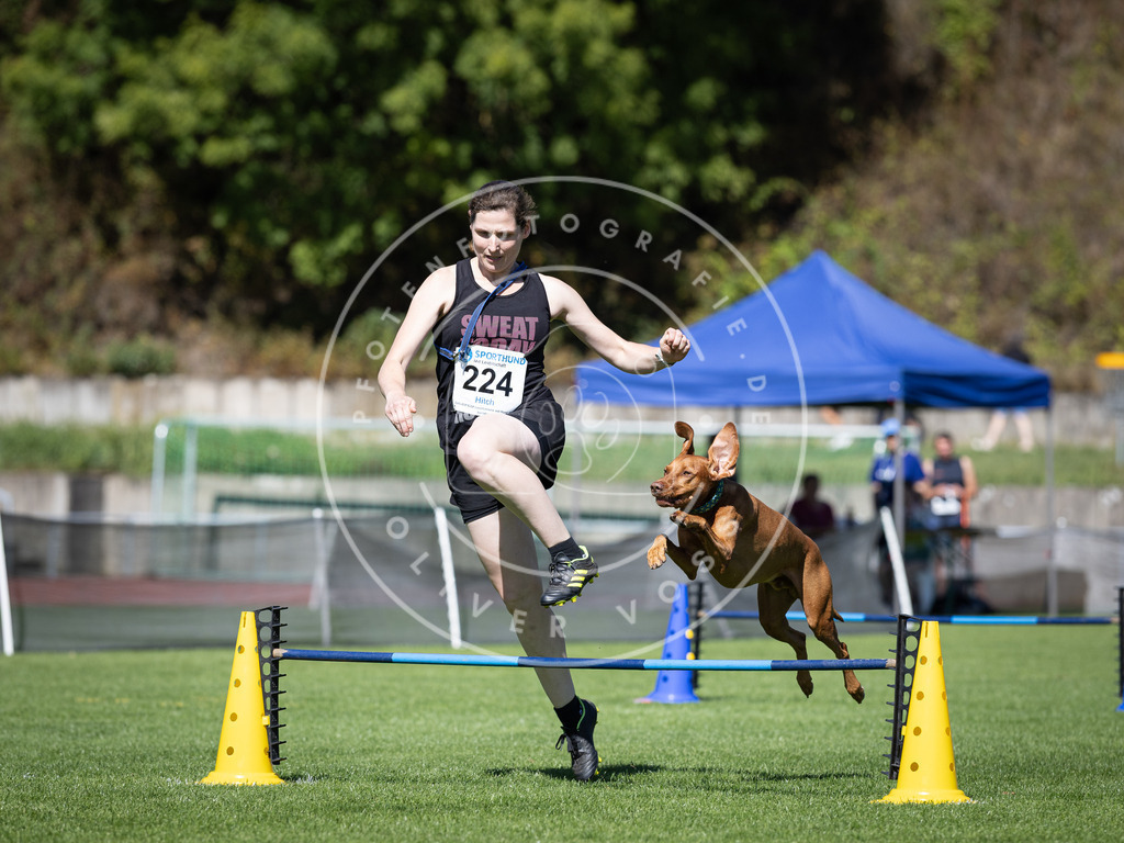 Pfotenfotografie_DV3A5540 | Hundefotografie, Tierfotograf, Pfotenfotografie, Fotoshooting Hund, Hunde Portrait, Hundesport, Hundeportraits, Heideshooting, Hunde, Sportfotograf, Hundefotograf, Turnierhundsport, THS,  - Realisiert mit Pictrs.com