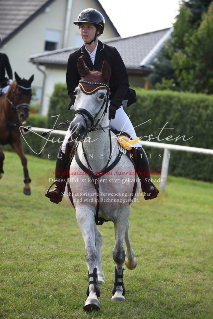 DSC_9021 | Pferde- und Turnierfotografie in Westsachsen. Pferdeportraits, Auftragszeichnungen und intuitive Kunst.