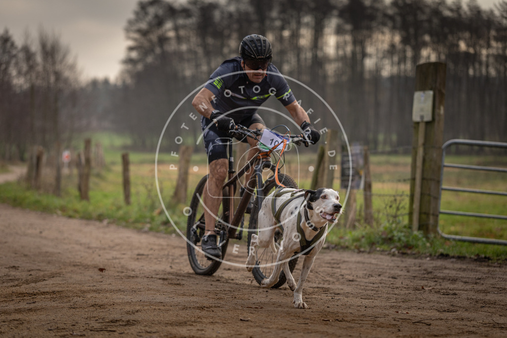 Pfotenfotografie_DV3A1741 | Hundefotografie, Tierfotograf, Pfotenfotografie, Fotoshooting Hund, Hunde Portrait, Hundesport, Hundeportraits, Heideshooting, Hunde, Sportfotograf, Hundefotograf, Turnierhundsport, THS,  - Realisiert mit Pictrs.com