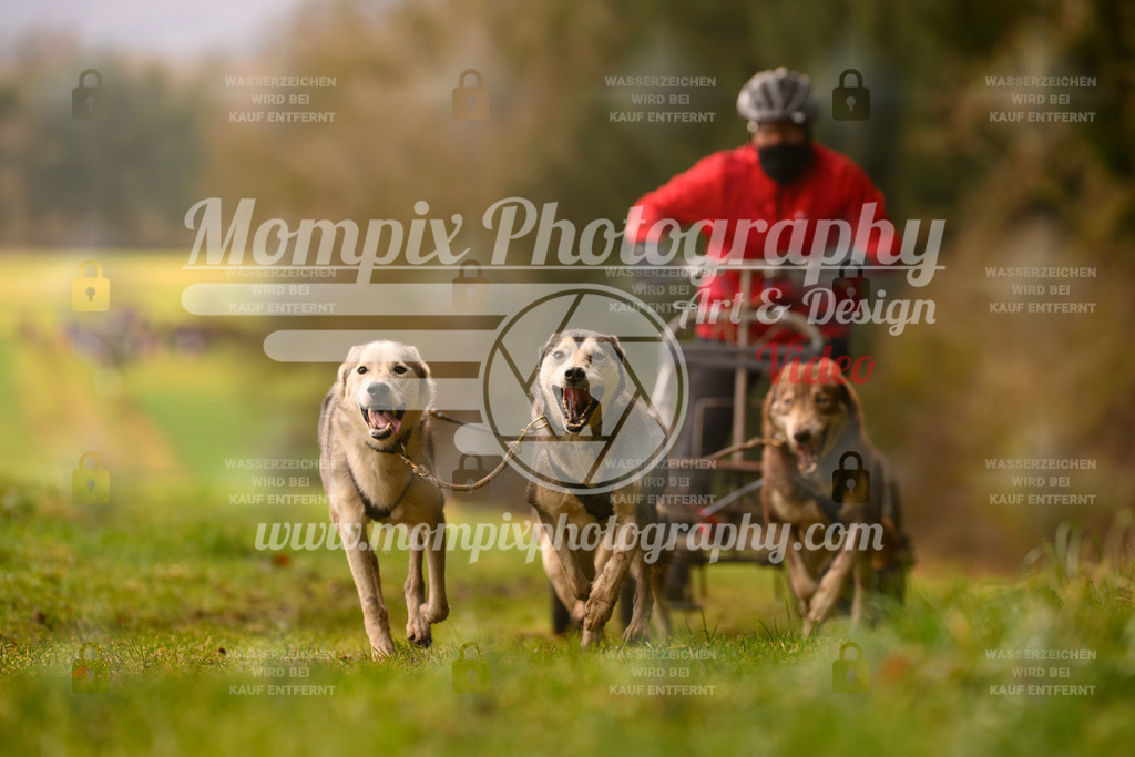 MompixPhotography_2SSTSSBW_2025_SO_Kart-11 | PayLife